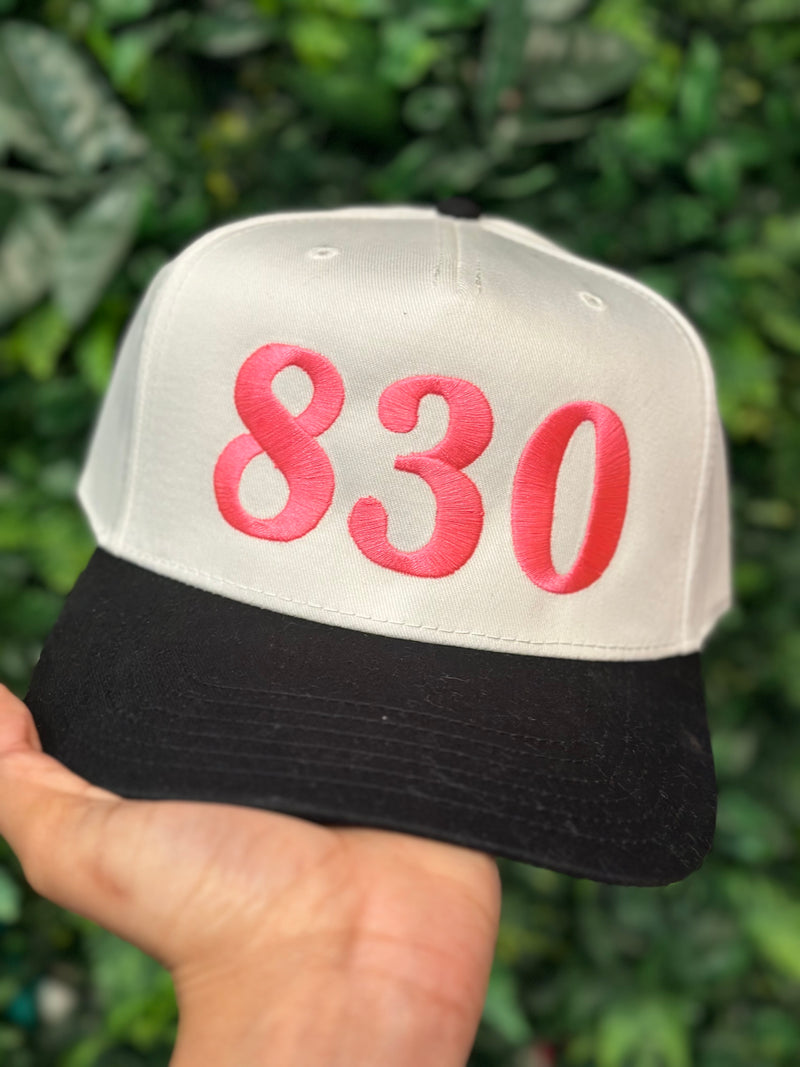 830 Embroidered Hat